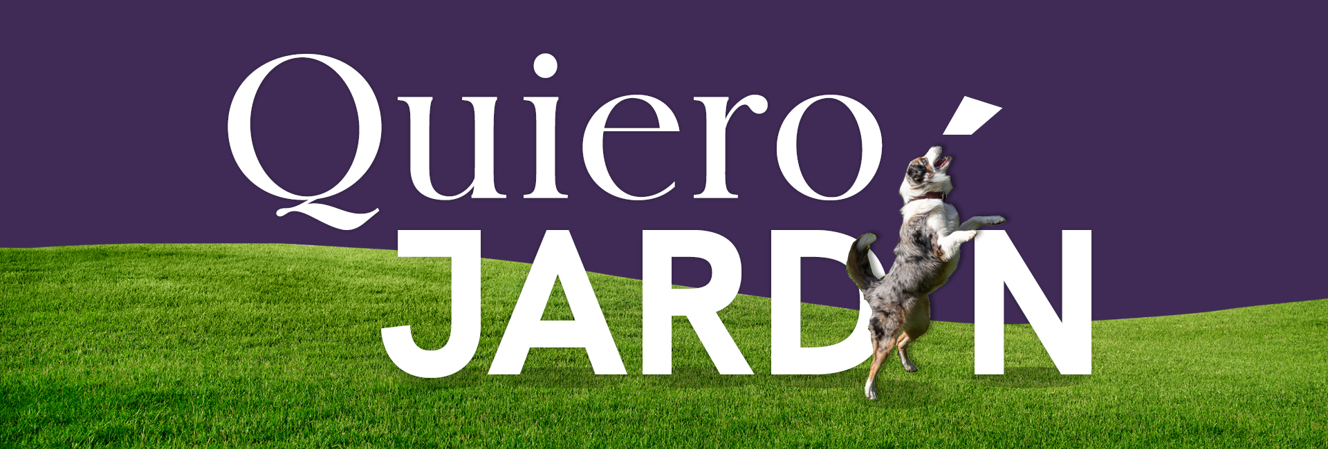 1648803819_jardin - apaisada.jpg